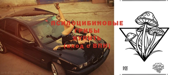 трава Новодвинск