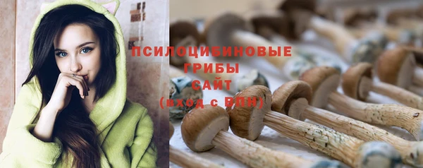 гидра Нягань