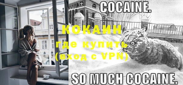 прущие грибы Няндома