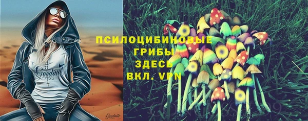 PSILOCYBIN Вяземский