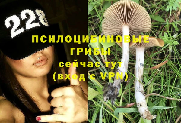 трава Новодвинск