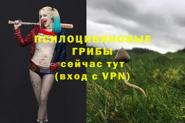 гидра Нягань