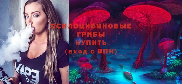 прущие грибы Няндома