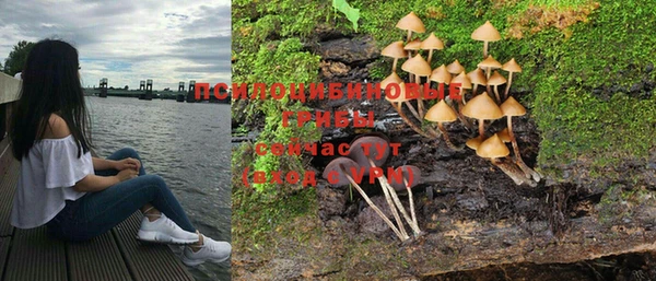 2c-b Новозыбков