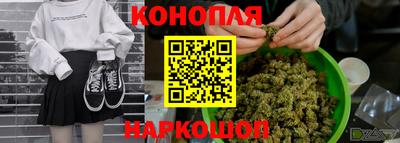 трава Бийск