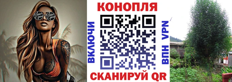 наркошоп  Кизилюрт  Шишки марихуана ГИДРОПОН 